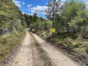 Gallus Running  : Just after the rifle range