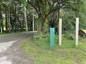Gallus Running | Loch Eck : 584_sm_003.jpg