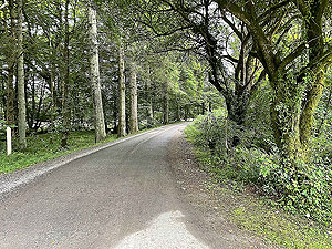 Gallus Running | Loch Eck : 584_sm_004.jpg