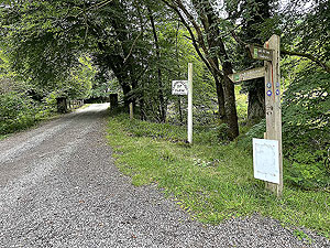 Gallus Running | Loch Eck : 584_sm_005.jpg
