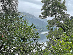 Gallus Running | Loch Eck : 584_sm_013.jpg