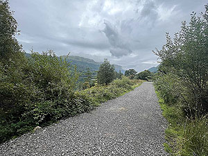 Gallus Running | Loch Eck : 584_sm_016.jpg