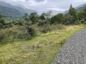 Gallus Running | Loch Eck : 584_sm_018.jpg