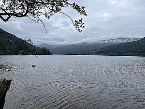 Gallus Running | Loch Eck : 584_sm_020.jpg