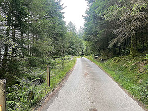 Gallus Running | Loch Eck : 584_sm_021.jpg