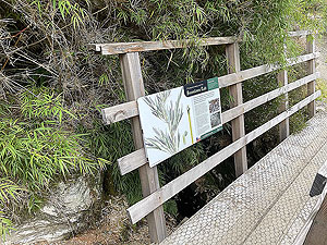 Gallus Running | Loch Eck : 584_sm_027.jpg