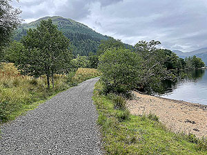 Gallus Running | Loch Eck : 584_sm_030.jpg