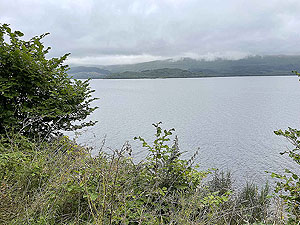 Luss to Arrochar | Gallus Running : 585_sm_007.jpg