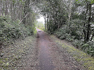 Luss to Arrochar | Gallus Running : 585_sm_009.jpg