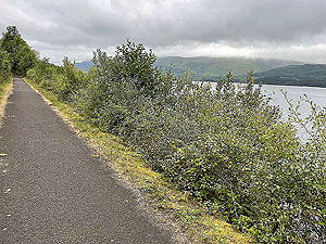 Luss to Arrochar | Gallus Running : 585_sm_010.jpg