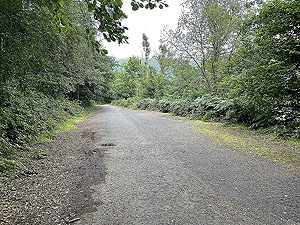 Luss to Arrochar | Gallus Running : 585_sm_013.jpg