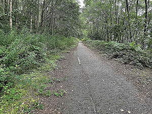 Luss to Arrochar | Gallus Running : 585_sm_014.jpg