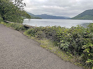 Luss to Arrochar | Gallus Running : 585_sm_016.jpg