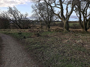 Gallus Running  : 586_sm_001.jpg