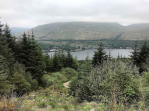 Gallus Running  : 586_sm_002.jpg