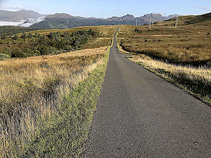 Gallus Running  : 586_sm_003.jpg