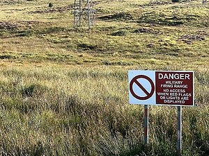 Gallus Running  : 586_sm_004.jpg