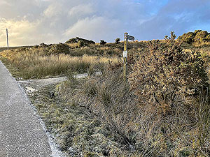 Gallus Running  : 586_sm_009.jpg