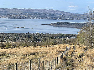 Gallus Running  : 586_sm_013.jpg