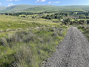 Gallus Running  : 586_sm_015.jpg