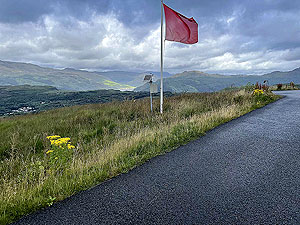 Gallus Running  : 586_sm_018.jpg