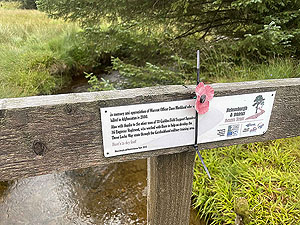 Gallus Running  : 586_sm_026.jpg