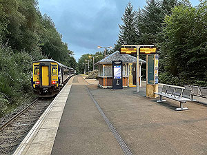 Gallus Running  : 586_sm_031.jpg