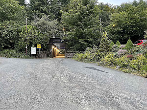 Gallus Running  : 586_sm_032.jpg