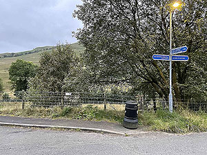 Gallus Running  : 586_sm_033.jpg