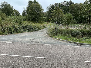 Gallus Running  : 586_sm_034.jpg