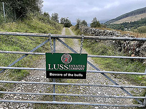 Gallus Running  : 586_sm_038.jpg