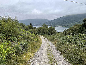 Gallus Running  : 586_sm_040.jpg