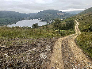 Gallus Running  : 586_sm_044.jpg