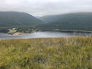 Gallus Running  : 586_sm_045.jpg