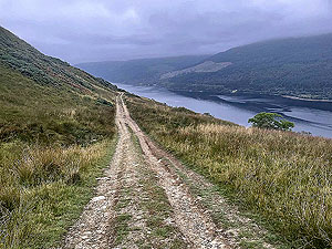 Gallus Running  : 586_sm_046.jpg