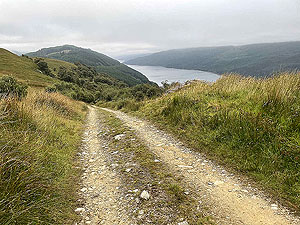 Gallus Running  : 586_sm_050.jpg