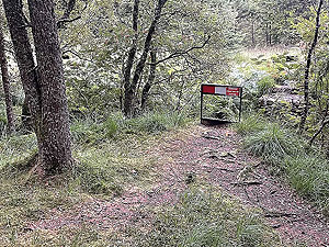 Gallus Running  : 586_sm_054.jpg