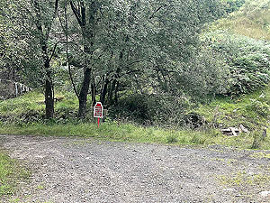 Gallus Running  : 586_sm_059.jpg