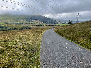 Gallus Running  : 586_sm_062.jpg