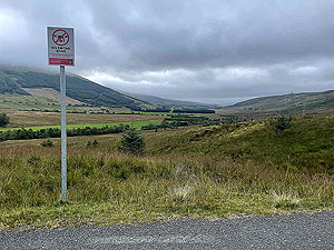 Gallus Running  : 586_sm_063.jpg