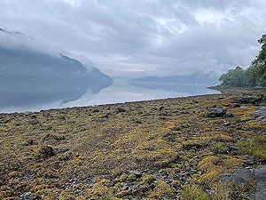 Lochgoilhead  : 587_sm_006.jpg