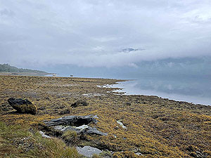 Lochgoilhead  : 587_sm_007.jpg
