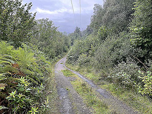 Lochgoilhead  : 587_sm_012.jpg