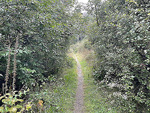 Lochgoilhead  : 587_sm_015.jpg