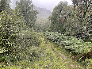 Lochgoilhead  : 587_sm_019.jpg