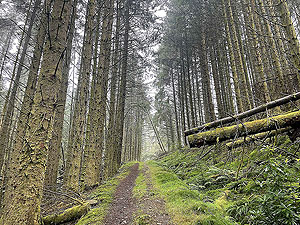 Lochgoilhead  : 587_sm_020.jpg