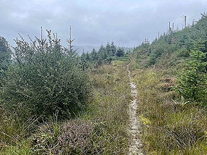 Lochgoilhead  : 587_sm_021.jpg