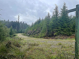 Lochgoilhead  : 587_sm_022.jpg