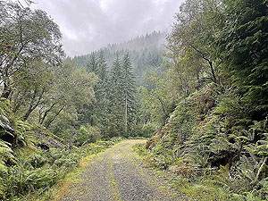 Lochgoilhead  : 587_sm_023.jpg