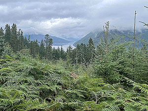 Lochgoilhead  : 587_sm_029.jpg